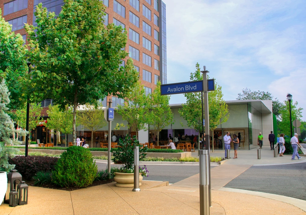 Shutterstock 1436189204